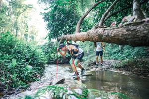 BIB: 
                            <button type="button" onclick="openModal(25434164)" class="btn btn-primary btn-sm float-right btn-popup" data-toggle="modal" data-target=".modal-high-quality">
                        <i class="fas fa-shopping-cart"></i> Add to Cart
                    </button>
                                            <button type="button" onclick="isThisMe(25434164, true)" class="btn btn-success btn-sm float-right btn-popup btn-isme hidden" data-toggle="tooltip" data-placement="bottom" title="นี่คือรูปของคุณใช่ไหม คลิกที่นี่เพื่อเอาเข้าอัลบั้ม">
                        <i class="fas fa-plus"></i> Add to album
                    </button>
                    <button type="button" onclick="isThisMe(25434164, false)" class="btn btn-warning btn-sm float-right btn-popup btn-isnotme hidden">
                        <i class="fas fa-ban"></i> Remove from album
                    </button>